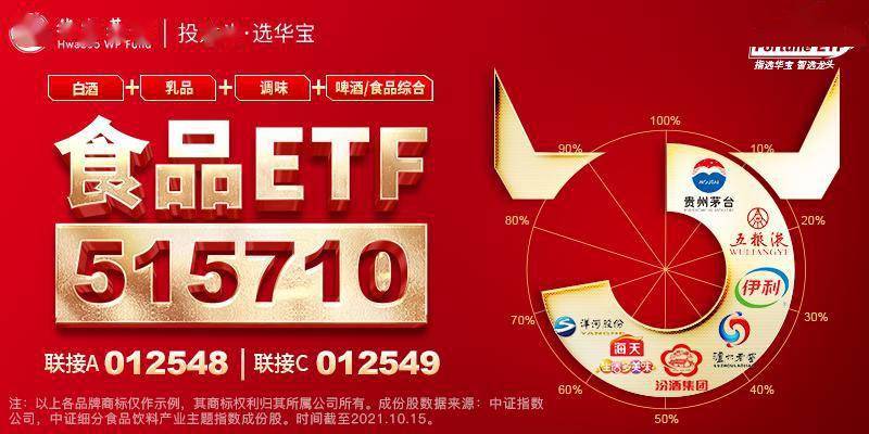 2024年正版4949资料正版免费大全,稳健设计策略_优选版50.253