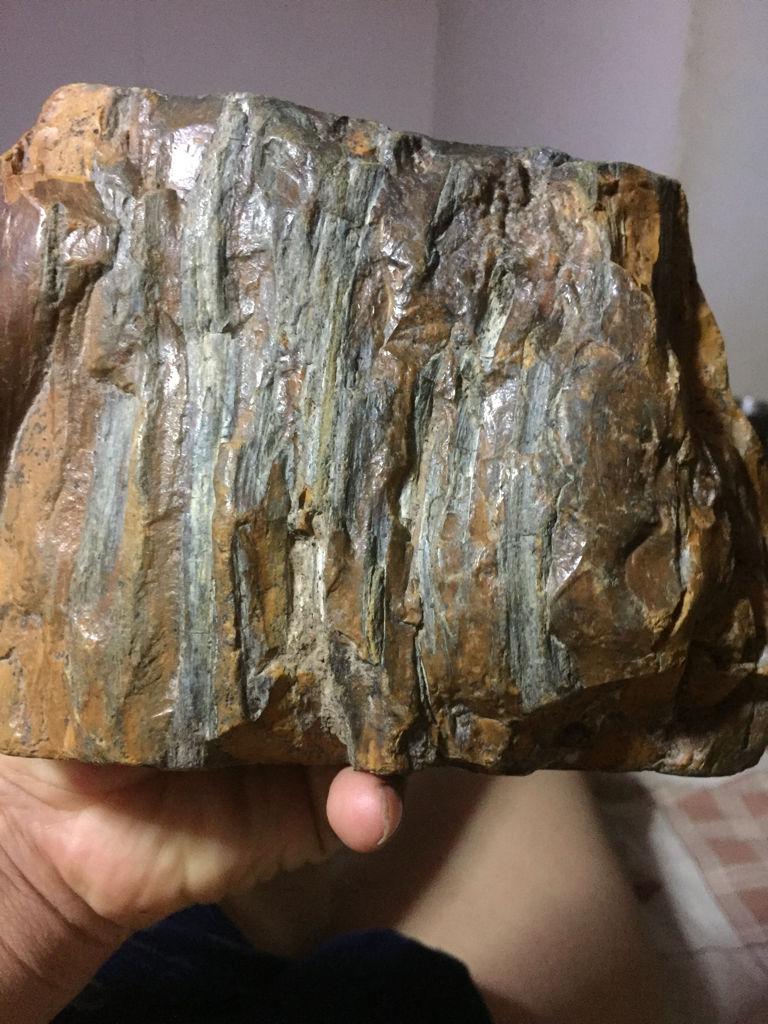 硅化木原石及价格,硅化木原石及价格，变化中的学习之旅，自信与成就感的源泉