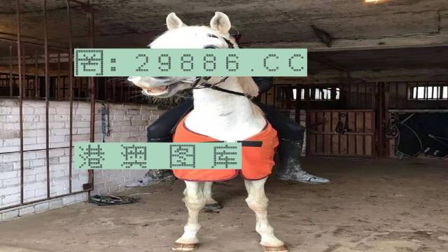 香港最新跑狗论坛，警惕网络赌博陷阱，守法远离风险