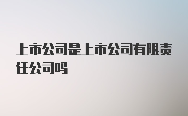 有限责任公司能否上市，探寻小巷中的独特小店的探索之路