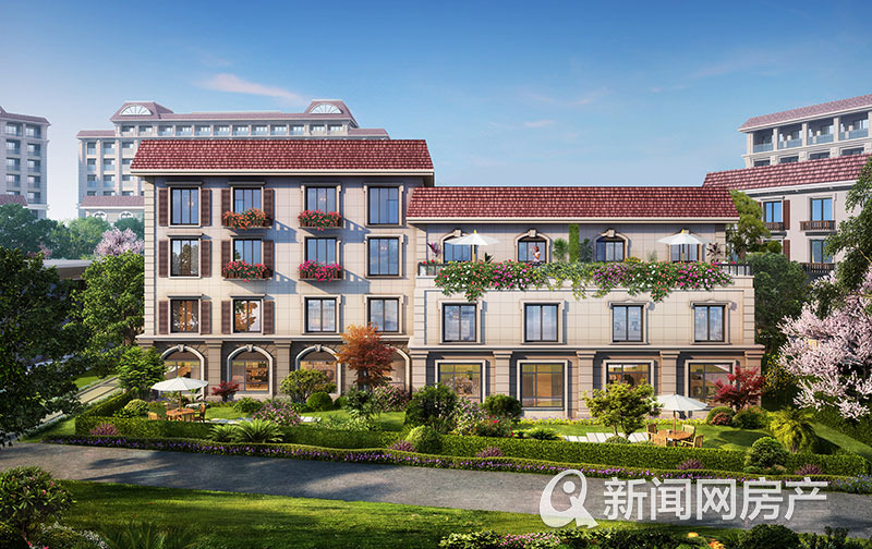 青岛房屋最新动态揭秘，海滨城市房产发展前沿探寻