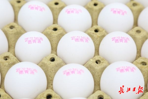 科技与生活新交汇点，最新秀蛋亮相！