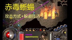 最新热血病毒详解，步骤指南与操作指南