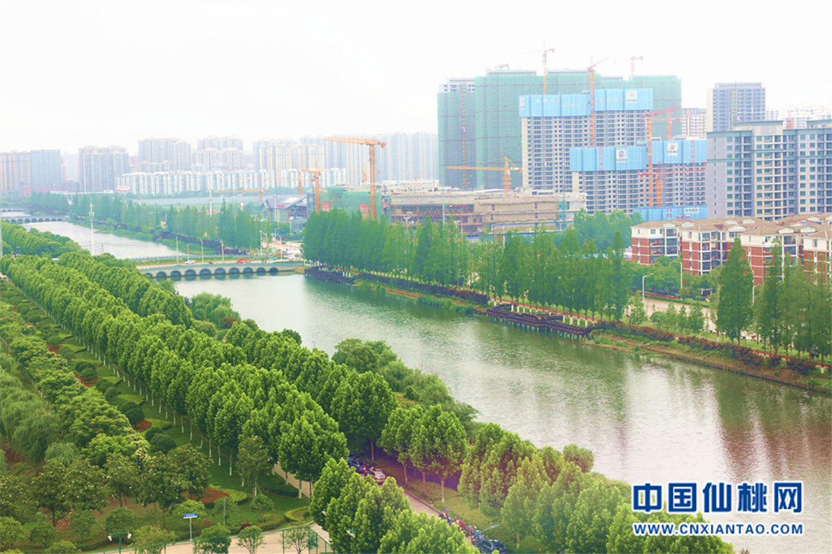 仙桃最新新探索之旅，自然美景的迷人之旅