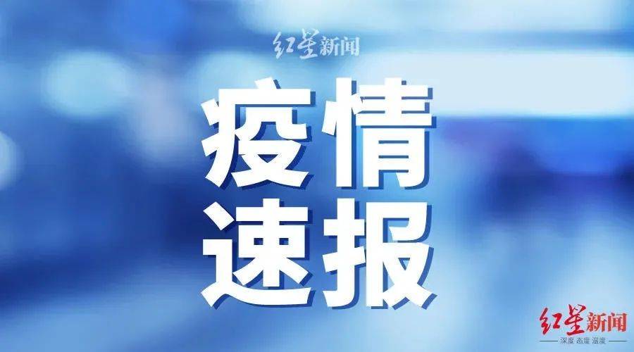 疫情最新动态与小巷深处的独特风味探索